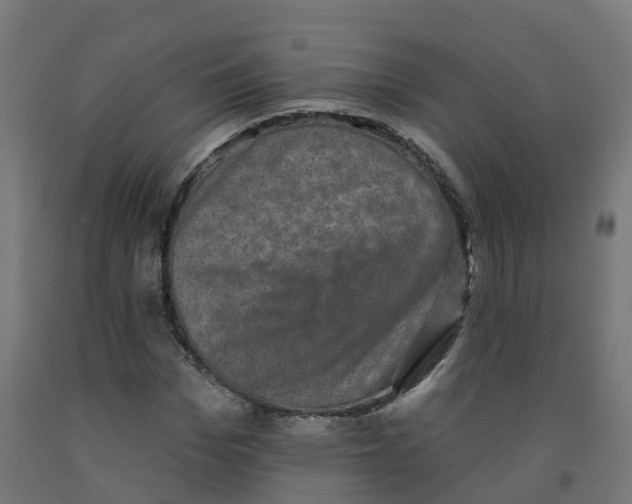 X0000091890969200710031759