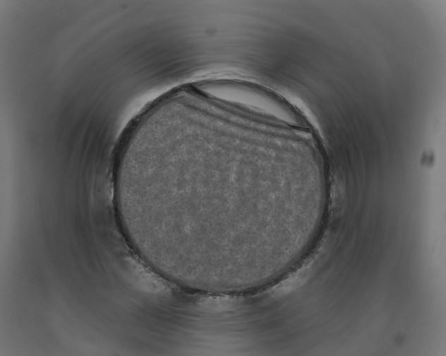 X0000091890973200710031758