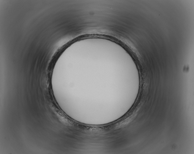 X0000091890974200710031758