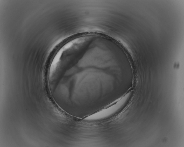 X0000091890975200710031758