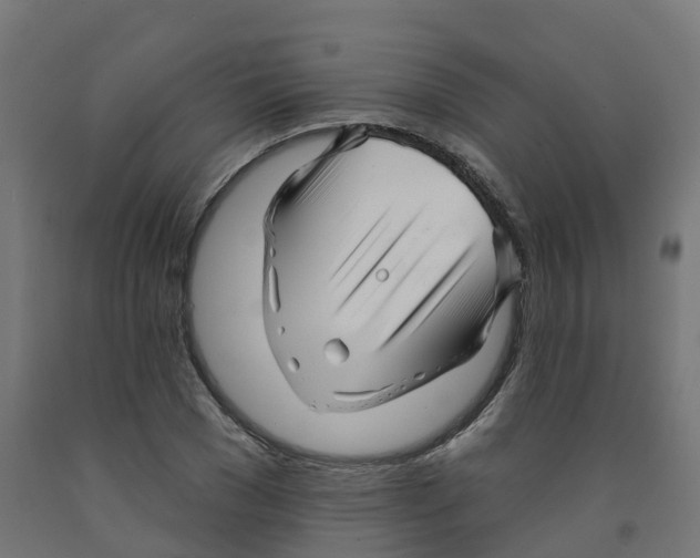 X0000091890977200710031758