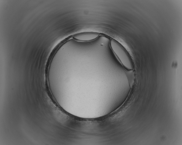 X0000091890980200710031758