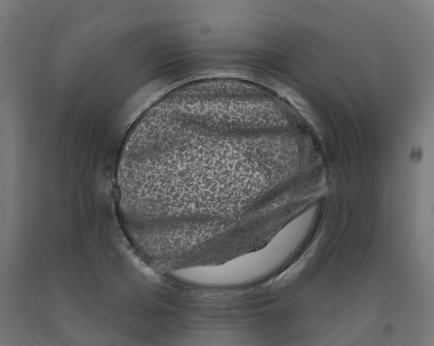 X0000091890985200710031758