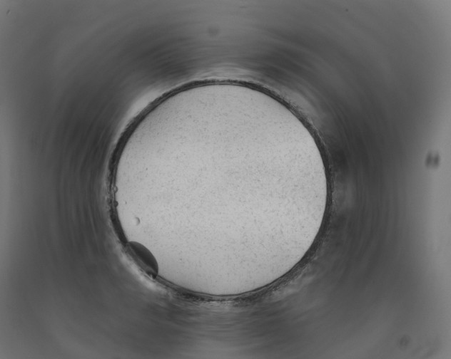 X0000091890990200710031758