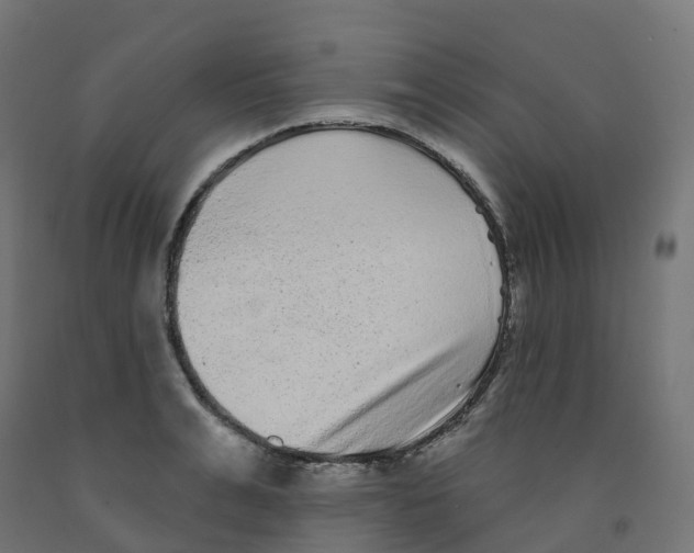 X0000091890991200710031758
