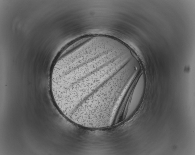 X0000091890992200710031758