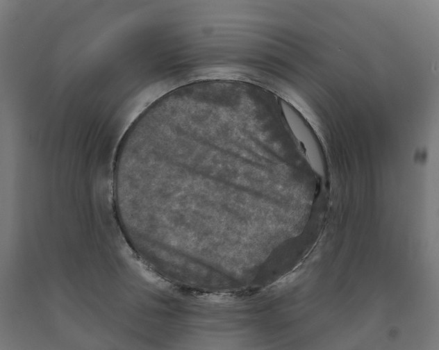 X0000091890994200710031758