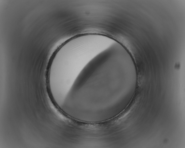 X0000091890995200710031758