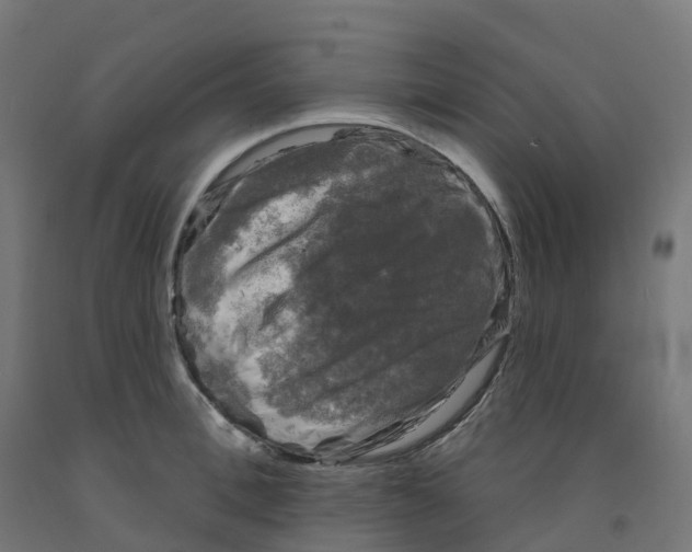 X0000091890996200710031758