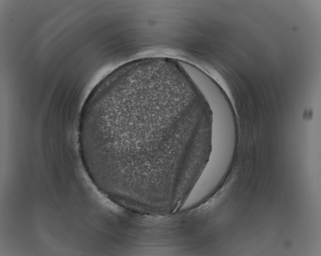 X0000091890997200710031758