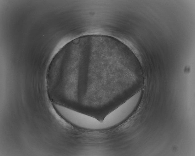 X0000091890998200710031758