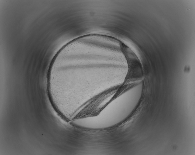 X0000091890999200710031758