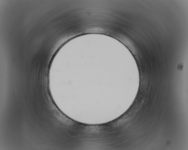 X0000091891000200710031758