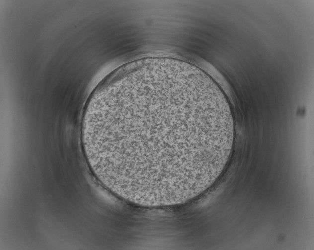 X0000091891002200710031758