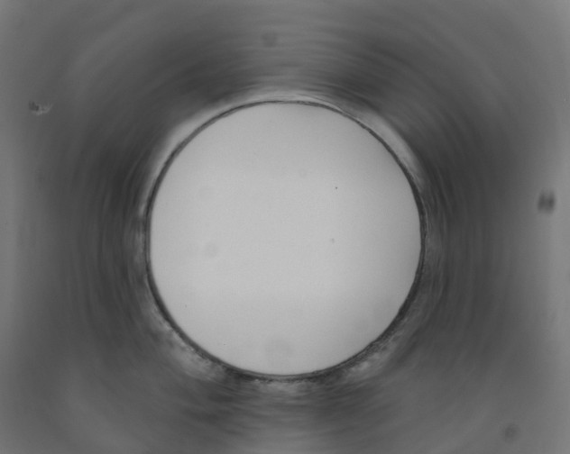 X0000091891004200710031758