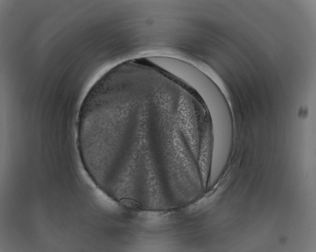 X0000091891005200710031758