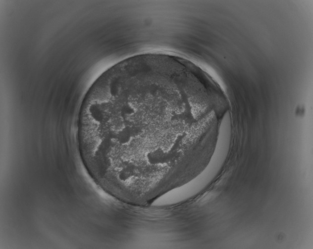 X0000091891007200710031758