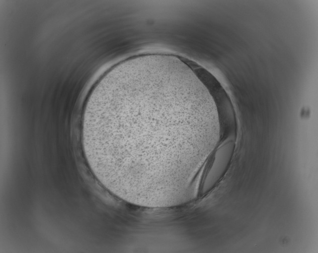 X0000091891008200710031758