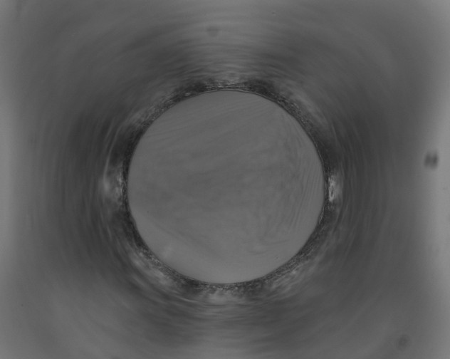 X0000091891011200710031757