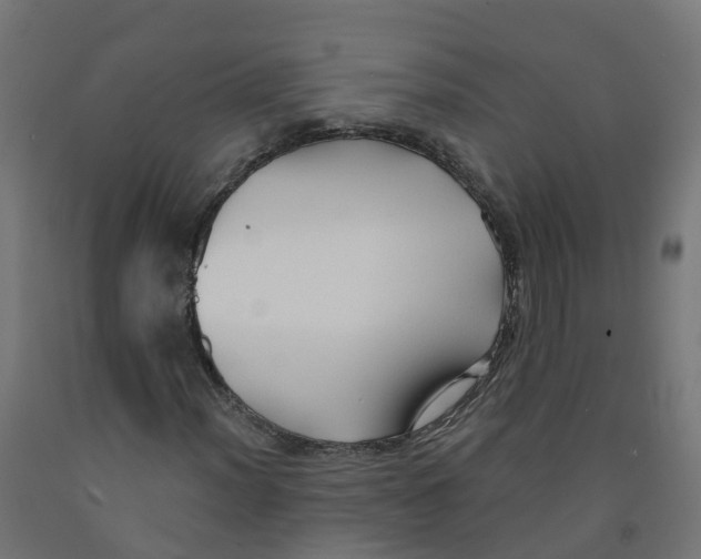 X0000091891012200710031757