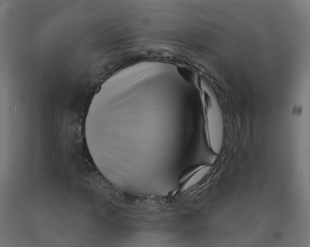 X0000091891013200710031757