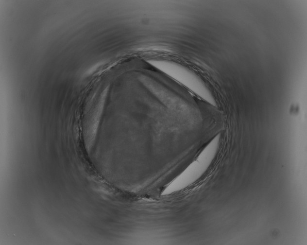 X0000091891014200710031757