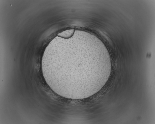 X0000091891015200710031758
