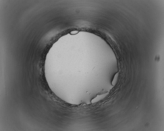 X0000091891016200710031758