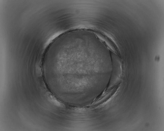 X0000091891018200710031758