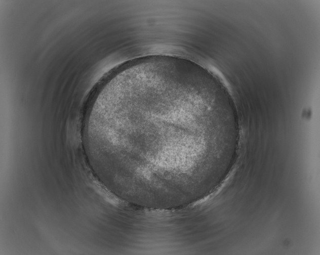 X0000091891019200710031758