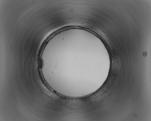 X0000091891020200710031758