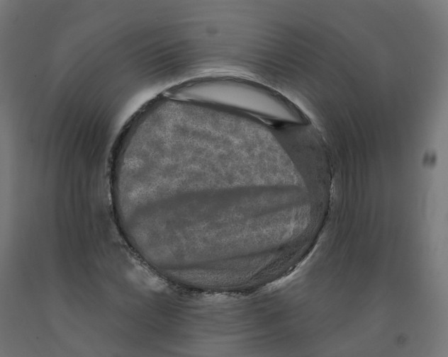 X0000091891022200710031758
