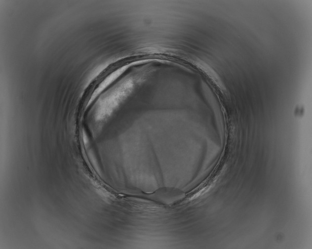 X0000091891023200710031758