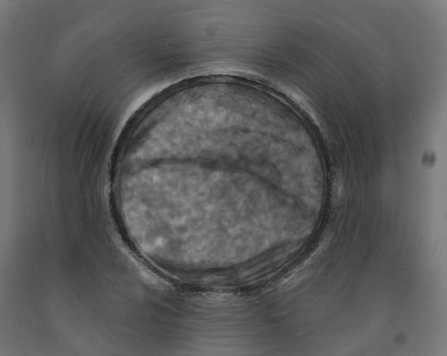 X0000091891024200710031758