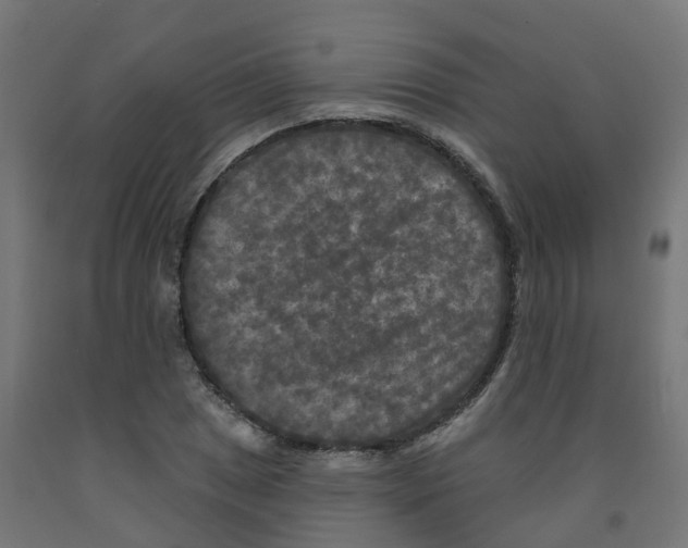 X0000091891025200710031758