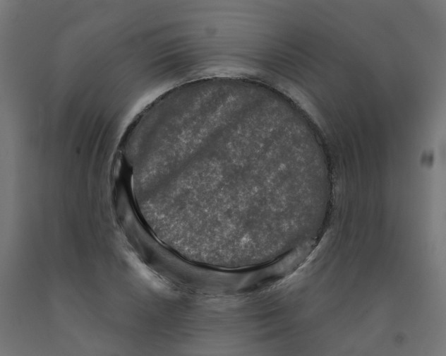 X0000091891026200710031758