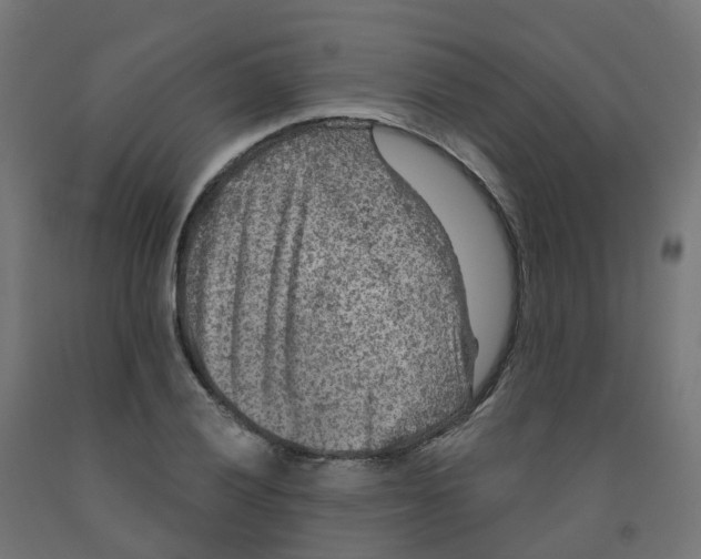X0000091891028200710031758