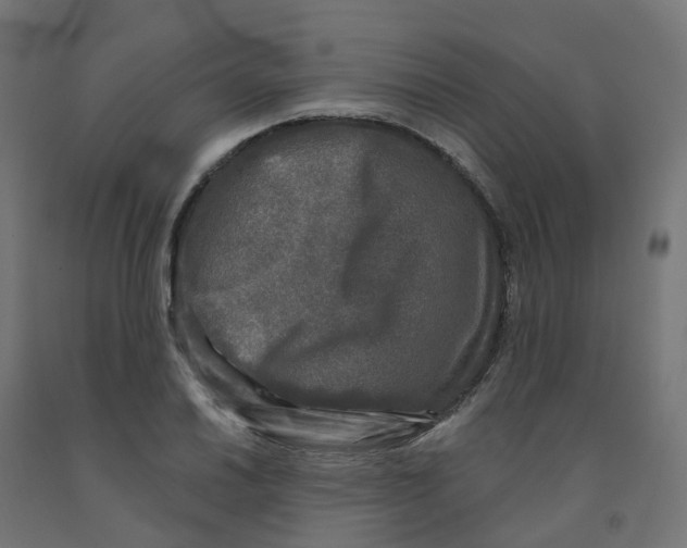 X0000091891030200710031758