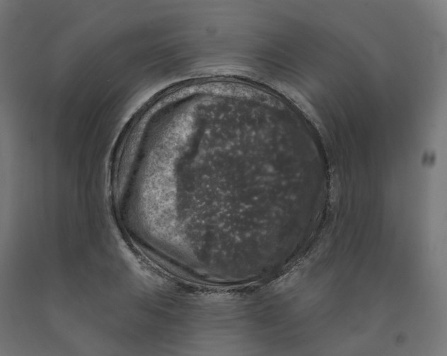 X0000091891031200710031758