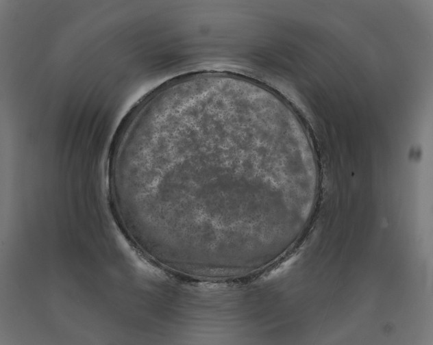 X0000091891032200710031758