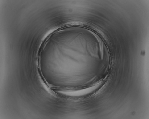 X0000091891034200710031758