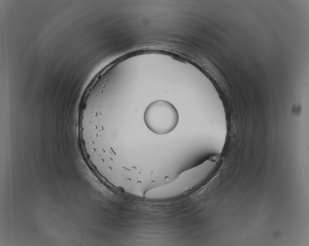 X0000091891036200710031758