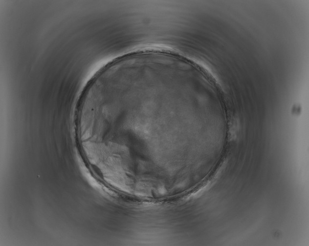 X0000091891038200710031758