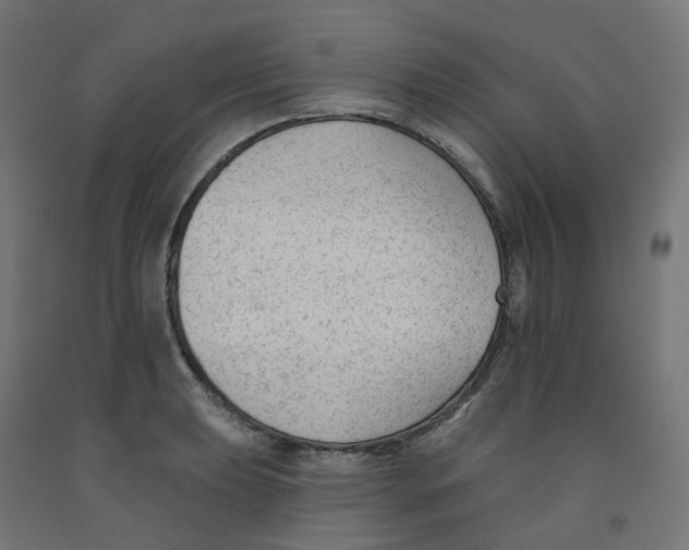 X0000091891039200710031758