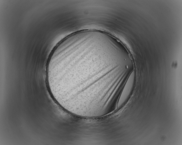 X0000091891040200710031758