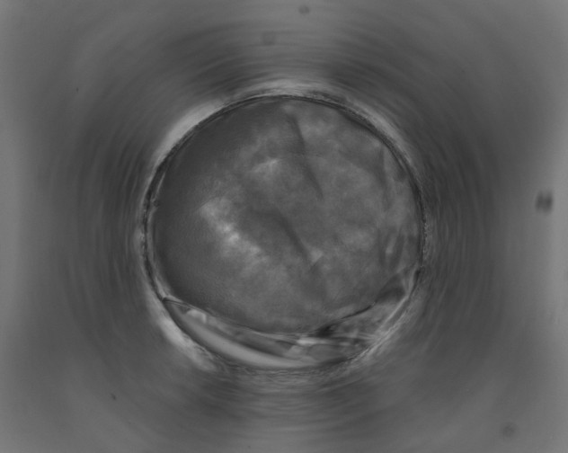 X0000091891042200710031758