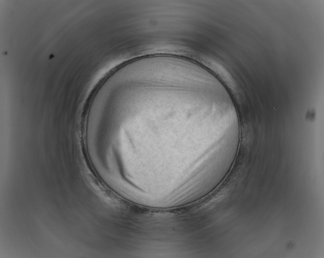 X0000091891043200710031758