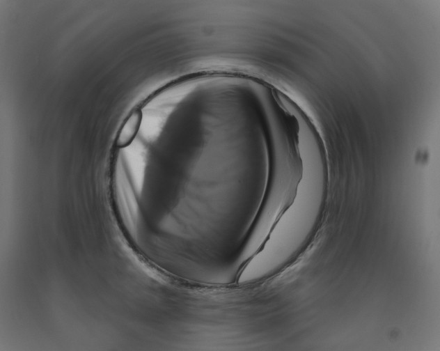 X0000091891045200710031758