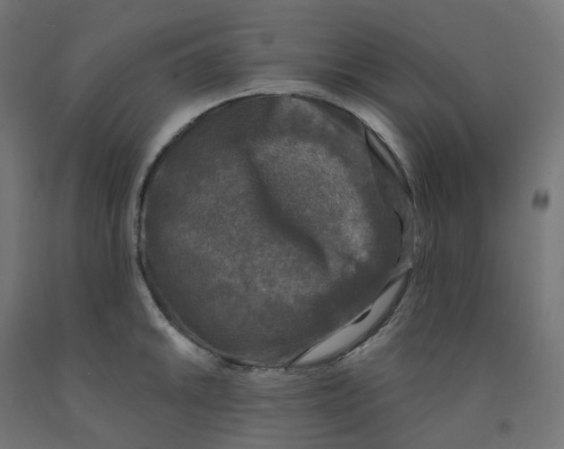 X0000091891046200710031758