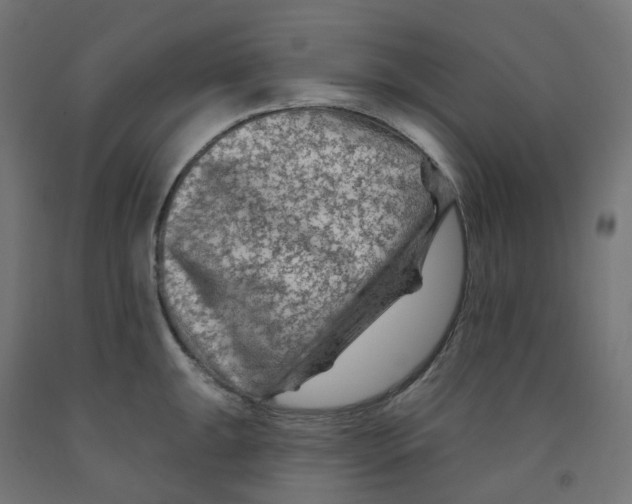 X0000091891047200710031758